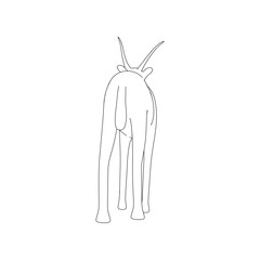 Gazzelle Isolated Pose Line