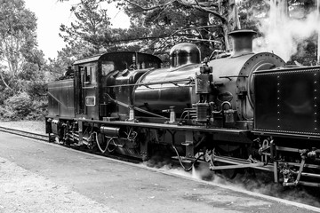 Fototapeta na wymiar Puffing Billy steam train. Historical narrow railway in the Dandenong Ranges near Melbourne, Australia
