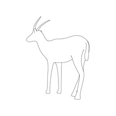 Gazzelle Isolated Pose Line