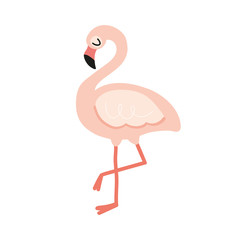 Cute flamingo bird on white background