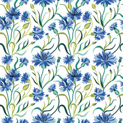 Seamless Floral Pattern with Blue Cornflowers on White