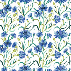 Fototapeta premium Seamless Floral Pattern with Blue Cornflowers on White