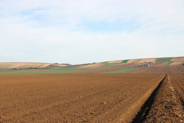 Fototapeta na wymiar Plowed field landscape agriculture Voivodina Serbia