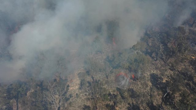 Bushfire in Australia. Drought and Climate Change increase likelihood of these forest fires. 