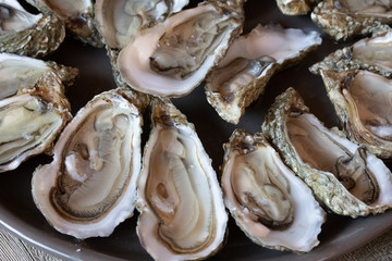 huîtres