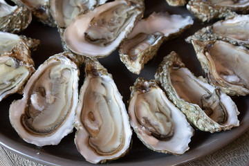 huîtres