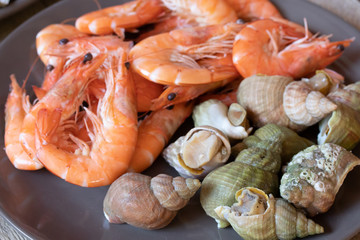 fruits de mer