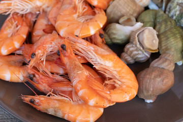 fruits de mer