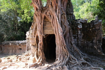 Obraz premium Ta Som Temple in Cambodia. Doorway among the roots of a tree.