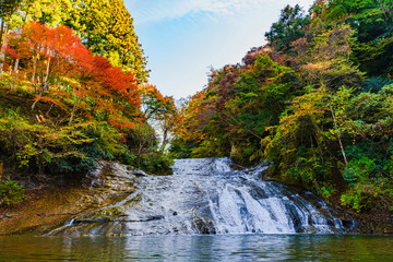 日本の秋のイメージ：首都圏を代表する紅葉の名所であり千葉のシンボルの養老渓谷の名瀑　粟又の滝の風景 - obrazy, fototapety, plakaty