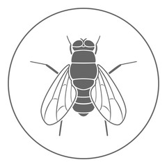 Fly icon. Insect symbol. Vector.