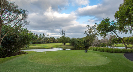 golf course with palm trees in Mauritius