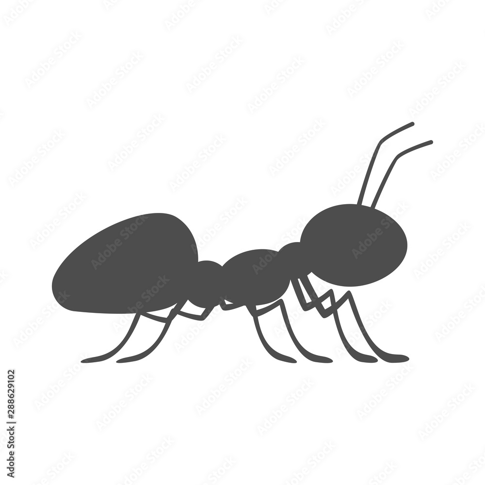 Canvas Prints ant silhouette on white background. vector icon.