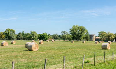 Paysage du Médoc, près de Bordeaux (France)	