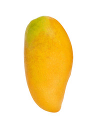 Yellow mangos on white background