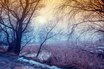 Rural winter landscape. Frosty weather. Frozen lake in the early morning. Trees near the lake