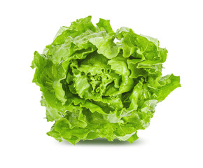 Lettuce isolated on white background with clipping path