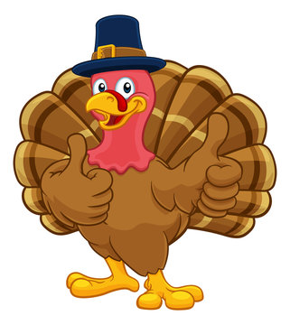 recommend clip art: Pilgrim Turkey Thanksgiving bird animal cartoon character wearing a pilgrims hat and giving a thumbs up