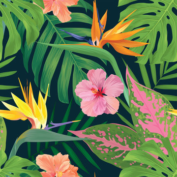 Tropical seamless pattern of colorful bird of paradise flower with monstera leaf and hibiscis background. Vector set of exotic tropical garden for holiday invitations, greeting card and fashion design
