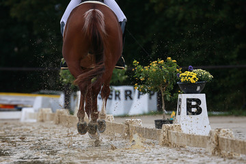 Horse dressage in the rain, close-up of high-pressure water in gallop jump during the test..