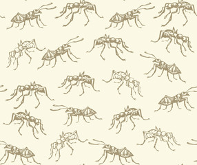 Ant. Vector drawing