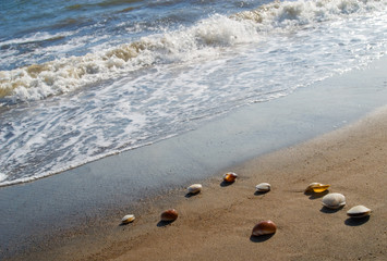 貝がら　海　浜　素材