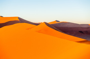 Fototapeta na wymiar The massive Dunes of the Namibian Sossusvlei, are cast in an impressive orange glow during sunrise. Image taken at Dune 45, Namibia.