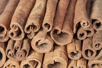Aromatic cinnamon sticks close up