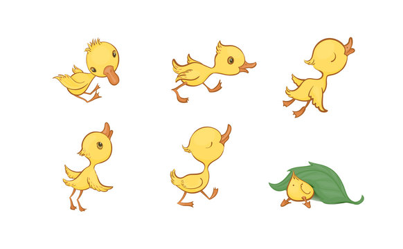 Vector set of cute funny yellow cartoon ducklings on a white background