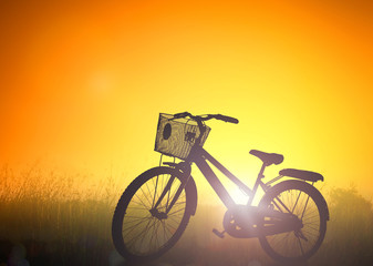 Fototapeta na wymiar Bicycle on meadow sunset