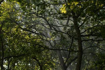 EUROPE PORTUGAL DOURO LANDSCAPE