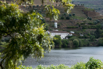EUROPE PORTUGAL DOURO RIVER WINERY