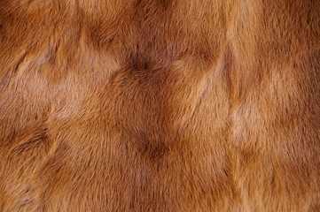animal fur background. texture of furry - fur Natural. Animal Wildlife Concept and Style. textures and backgrounds. Close-up, Full Frame of a fur coat
