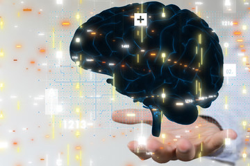 brain