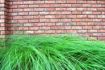  Brick wall and stucco Is an art that looks beautiful and immortal that has always been popular