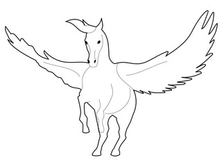 Obraz premium Outline vector illustration of the Pegasus