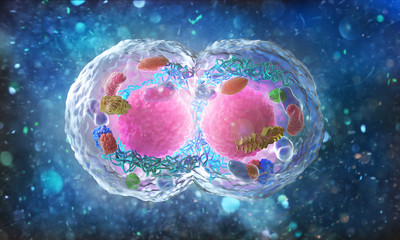 Biology concept. Cell division under the microscope.  3d illustration