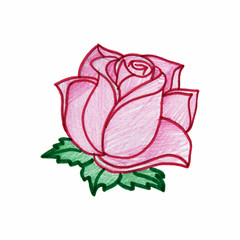 Pink rose hand-drawn markers isolated on white background