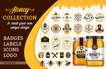 Vector honey collection