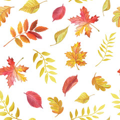 Watercolor leaves maple,birch,oak,Rowan on white background.Seamless pattern.