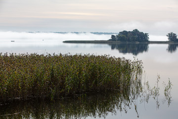 Misty autumn morning. An island in the middle of a river in the fog. The reeds in the foreground. Reflection in water.