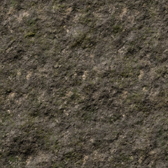 Mud with bits of grass