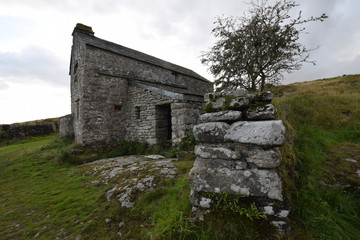 Fototapeta na wymiar Abandoned farmhouse on Bodmin Moor Cornwall