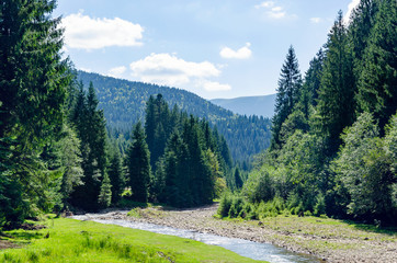 Carpathian landscape, a mountain river flows in the forest. Holidays in the mountains