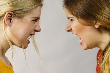 Angry fury girls screaming at each other