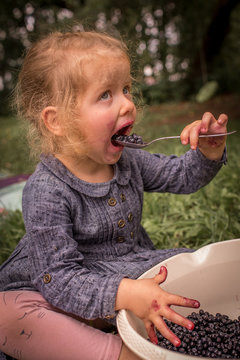 Little, Cute Girl Eating Organic, Fresh, Delicious Blueberries Straight Out Of Bowl, With Hands And Face Smudged