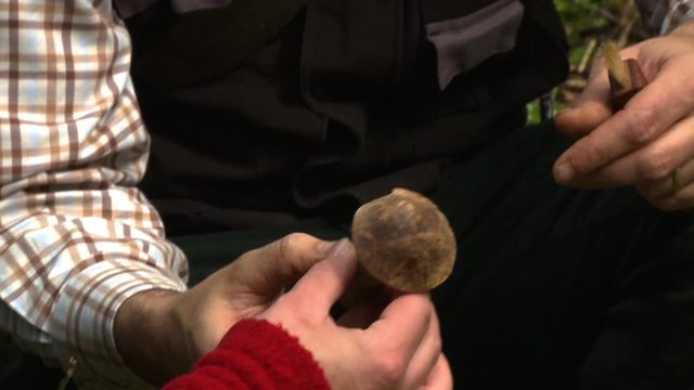 Handheld, medium close up shot of people handling a plucked mushroom.