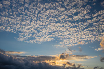 Dramatic golden blue sunset or sunrise with spotted cumulus clouds.