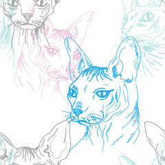 Sphynx cat seamless pattern. Stylish print. Multi-colored drawing.