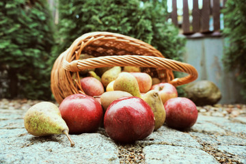 Ekologiczne, niedoskonałe jabłka i gruszki wysypujące się z wiklinowego koszyka na granitowy chodnik, zbliżenie. © Anna